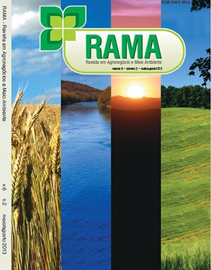 Revista Rama sobe na qualificao da Capes