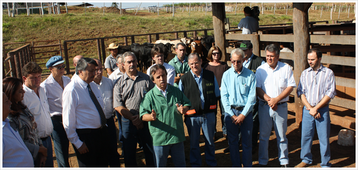 Campanha da febre aftosa  lanada na Fazenda Cesumar